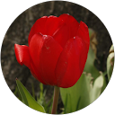 Laxton Plumbing and Heating 23 Bella Schollie profile picture